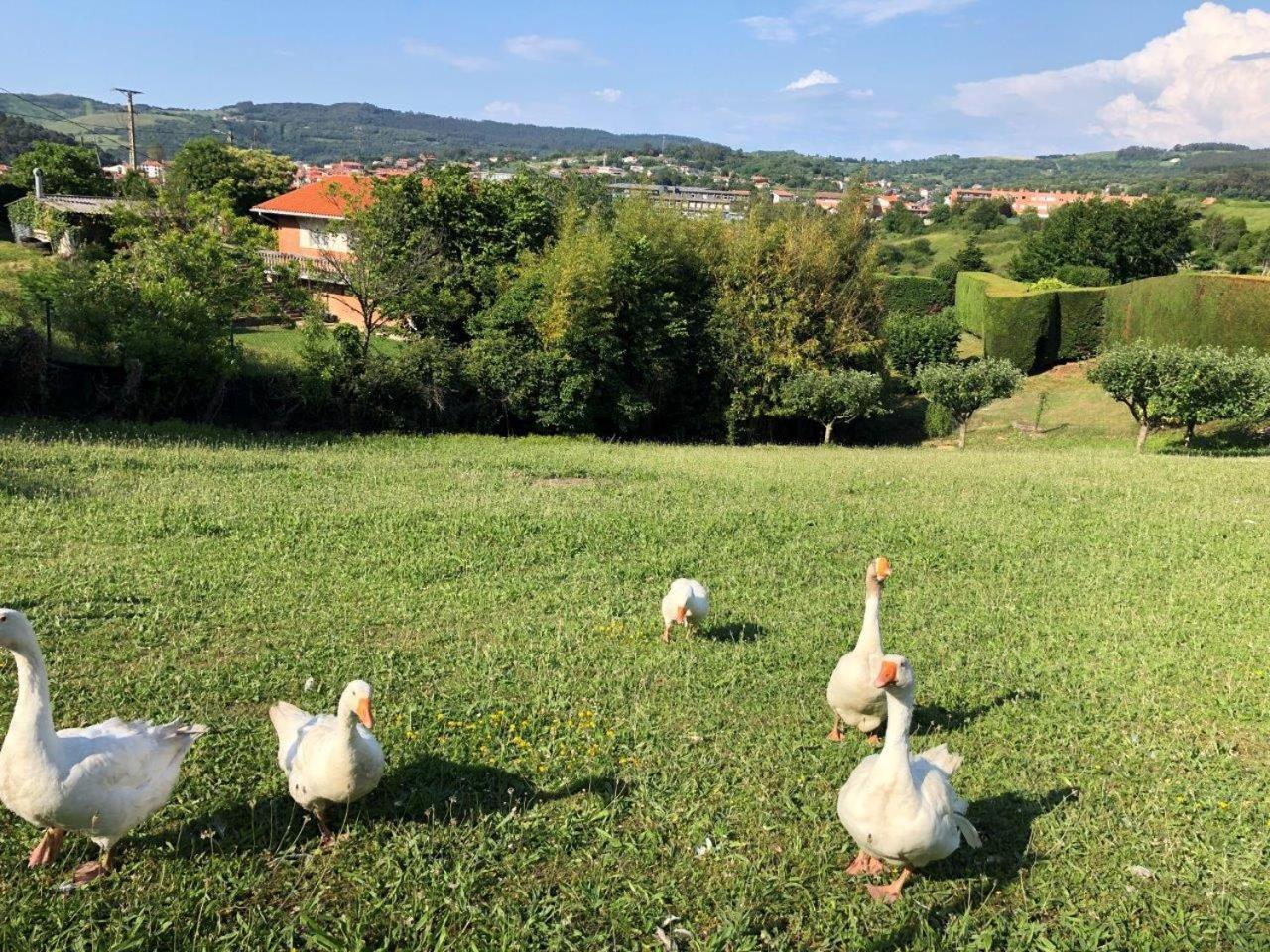 El Rincon De Matilde Con Jardin By Kabia Gestion Διαμέρισμα Barrika Εξωτερικό φωτογραφία